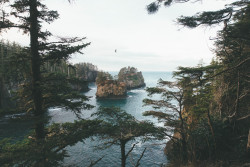 imbradenolsen:Cape Flattery, WA  Ugh I want to get out there before summer is over😒 
