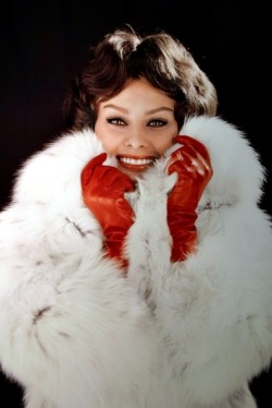 la-dulzura:  Sophia Loren 