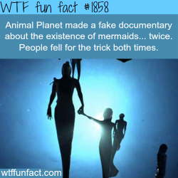 wtf-fun-factss:  Animal Planet Mermaids movies - WTF fun facts
