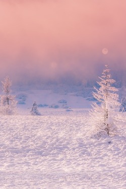 ponderation:  A Winter’s Tale by Birgit Franik  