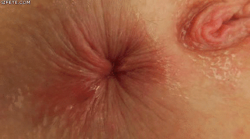 Porn Pics female-asshole:The best ass hole blog on