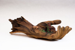 mymodernmet:  Cycle of Decay by Christopher David White Ceramic sculpture of a hand that looks like it’s made of wood.