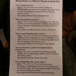 queerandbrown:  Responding to an officer’s threats to arrest you. Transcribe and share yall  Picked it up at the people’s response team training i’m at rn