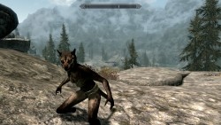 terradragon:  I made a skyrim character named Puma Concolor and play them as just a literal mountain lion.I just go run around naked punching deer for their meat and leveling stealth and stealing unattended chickens. Also once I murdered an old lady.