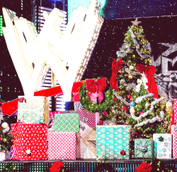 fluffy-milkk:  Nothing is better than Christmas in WWE 