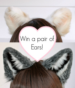 Kittensplaypenshop:  Win A Pair Of Our New Ears! They Are Already Made And Ready