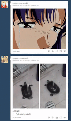 ririmon:  this just happened on my dashboard