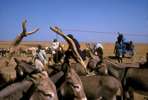 nordafricain:  MALI. Region of Mao. 1988.© Harry Gruyaert/Magnum Photos