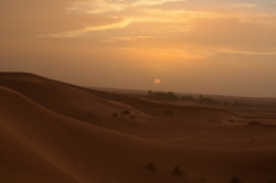 sijjy:Reflections in the sun | Sahara Desert, Morocco (2015)
