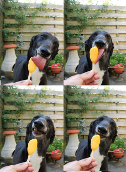 shutupaubrey:  snoop dogg enjoys a nice refreshing popsicle on a hot summer day 