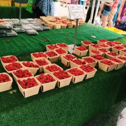 exhtreme:  went to the cutest little farmer’s market today :-)