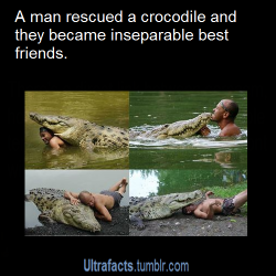 ultrafacts:  greatfulldedd:  nedak-and-co:  ultrafacts:  Nearly 20 years ago, a five-metre-long crocodile laid severely injured on the bank of the Parasmina River in Costa Rica after being shot by a farmer. Luckly for that crocodile, a kind local named
