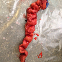 halloweencrafts:  DIY Homemade Intestines from Cassandra Gregg on Pinterest. Rarely as in never is Pinterest an original source - but it is here. The pinner made these homemade intestines in 6 easy steps which she listed here: Cut off the leg of a pair