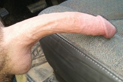 iknowimbicuriousnow:  bigwhitedicks69:A WHITE TROUSER SNAKEhttp://bigwhitedicks69.tumblr.com/  Holy Fuck, this is the perfect cock. I want it to be my first deep down my throat and deep in my ass  Impressive