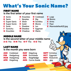 slbtumblng:  sonicthehedgehog:      Alone on a Friday? Then be rad and tell us your Sonic name!     Ivo the Enchilada.   Sonic the Eggman