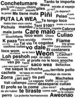 esto-es-un-vicio:  lagrimas—escritas:  Ser chileno es bueno chuchetumare 