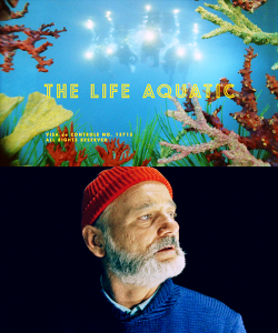 mashamorevna:   “Now if you’ll excuse me, I’m going to go on an overnight drunk, and in 10 days I’m going to set out to find the shark that ate my friend and destroy it. Anyone who wants to join me is more than welcome.” - The Life Aquatic with