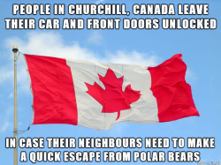 amroyounes:  Some Canada facts http://www.outsideonline.com/blog/outdoor-adventure/the-polar-bear-capital-of-the-world.html http://metro.co.uk/2011/12/18/polar-bear-prison-opens-in-canada-259327/ http://www.cbc.ca/archives/categories/war-conflict/second-w