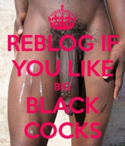 discustinglittlecumwhore:  horsehunggaymenssexsociety:  iwillsuckit4you:Omg of courseNo, I LOVE BIG, BLACK COCK!!!I want to be in a room with all these black studs right now and have them feed and fuck me.  I want them all inside me  I could always use