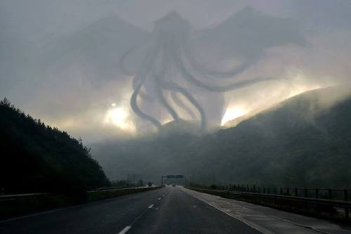 sapleaf:  gracefully-found:  crydaisy:  Oh cool a sKY DEMON AWAKENS  This is one of the coolest pictures I have ever seen.   giant squid angel