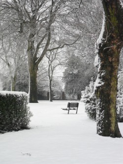 vwcampervan-aldridge:  Park bench in thick snow, Dartmouth park, Sandwell, West Midlands, England 