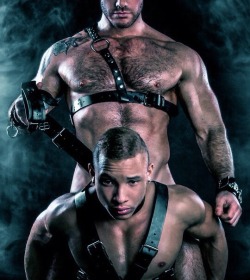 fredholt:  men-and-their-subs: Men &amp; their Subs  My Tumblr blogs - http://fredholt.tumblr.com - http://hairymusclehunks.tumblr.com - http://justmusclemen.tumblr.com - http://justhairymen.tumblr.com - http://justmenass.tumblr.com -  Like my Facebook