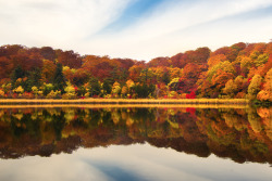 nubbsgalore:  autumn reflections by david