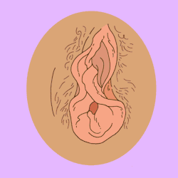lauracallaghanillustration:  Let’s talk about Vaginas! I’ve illustrated some bits (😉) and pieces for Vagina Dispatches - a great new guardian web series by @maeryan and @mona_chalabi  🙌 the first episode is all about vulvas and is informative