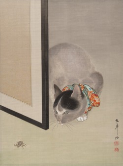 Eastasianstudiestumbl:  Arsvitaest:  Cat Watching A Spider Author: Ōide Tōkō (Japanese,