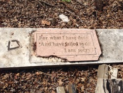 aphrohdites:  fox-party:  We found this in an abandoned parking lot today  this breaks my heart a little I don’t even care that this has color, it’s going on my blog. Quite touching.  
