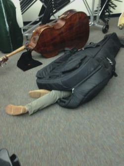 lucy-cat:  here we see a wild bass player in it’s natural habitat, sleeping soundly in its cocoon  