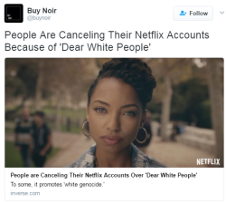resadipity:  lagonegirl:   Does this mean it will load faster?  i hope so  White person 1: The “blacks” are at it again on the netflix maw what do we do?White person 2: Delete our account and stop watching your favourite shows! That’ll show em!