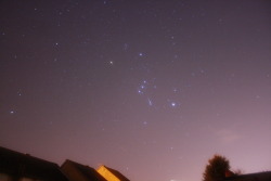 theastrokid:  The constellation of Orion and a meteor from last nights Geminids shower. 