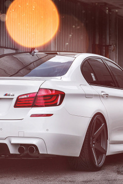 supercars-photography:  ///M5 | source | more of these here 