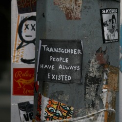 lgbtgivesmehope:  shawnhnichols:Trans | Seattle, Washington - 2015 [Image shows a sticker that reads, ‘Transgender people have always existed’]