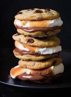 foods-for-dummies:  Eating my way to abs [S'more Cookie sandwiches] [599x818] | More? 