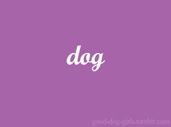 good-dog-girls:There is no right or wrong shape of dog, nor is there a “proper” shape for a person.
