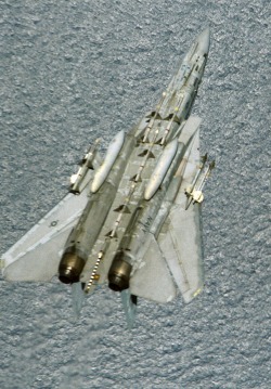 31262:  VF-24  Fighting Renegades F-14A