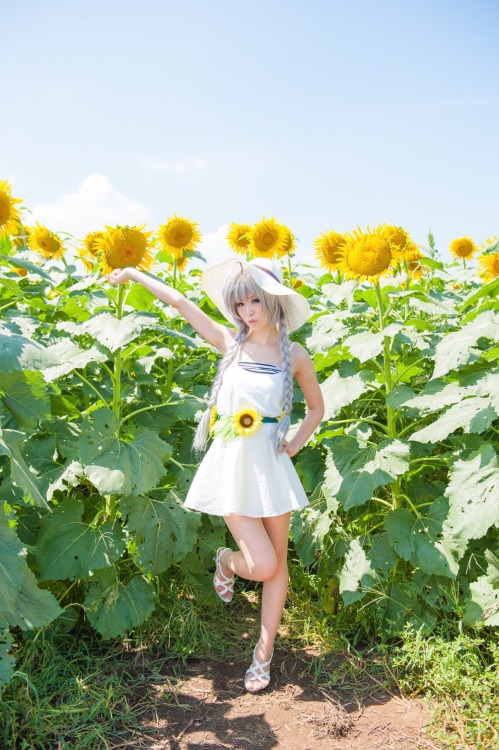 hb-loli:  p>《The sunflower》   Photo2 porn pictures
