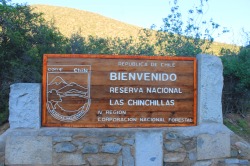 kusta-astronaut:  Reserva Nacional Las Chinchillas, IV Región de Coquimbo - Chile