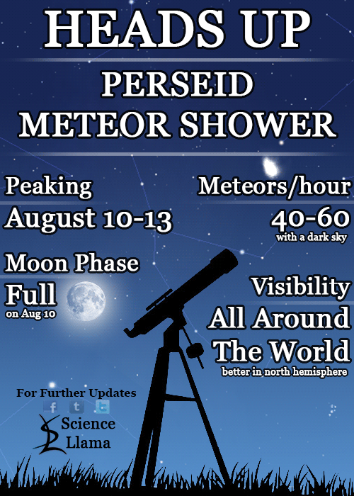 the-science-llama:  Perseid Meteor ShowerNot as great as last year but still worthy
