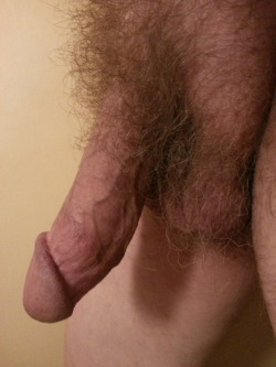 bestcutmeat: So  thrilling to have your followers checking this dick out…   Submitted to bestcutmeat by a follower. Follow me: bestcutmeat.tumblr.com for images of cut cock, beautiful large low hanging balls, or a great rear view.  Over 33,000 images