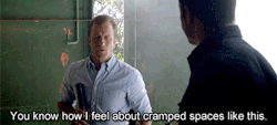 because-b: Steve, we all know you brought Danno there for exactly that purpose. 