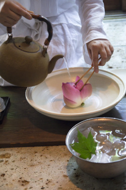 eluer:  yudoku:  Lotus flower tea *3 by yocca on Flickr.    