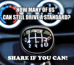 married-to-a-redhead:  I own four standard transmission cars.  You can take my gasoline powered car’s stick shift out of my cold dead hands.  