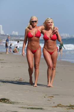 adultarchive:  Former Playboy playmates Karissa and Kristina Shannon frolicked on the beach in the Pacific Palisades yesterday with some unusual beach accessories … burgers and fries.