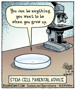 ted:    Stem cells can be used to generate all kinds of tissue—even bone! Learn how scientists are growing bone from stem cells here » Comic by Dan Piraro.