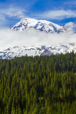 lsleofskye:  Mount Rainier National Park 