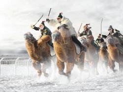 Photo finish (a camel race in –50C weather during the Nadaam Festival in Inner Mongolia)