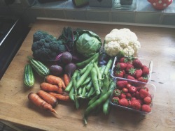 iamnotover:  I happily spent a hot Saturday afternoon picking my own fresh fruit and vegetables at a local farm and I got all of these for £11. I love eating fresh, local produce, especially when it’s affordable too